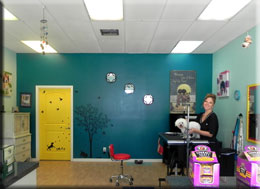 Master Dog Groomer