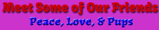dog groomer logo