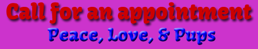 dog grooming logo