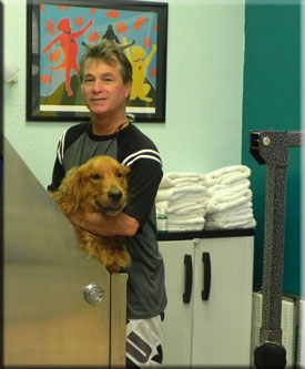 dog groomer photo 7
